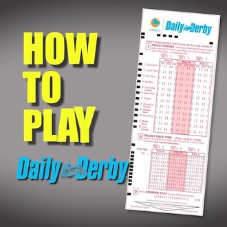 lotto daily derby